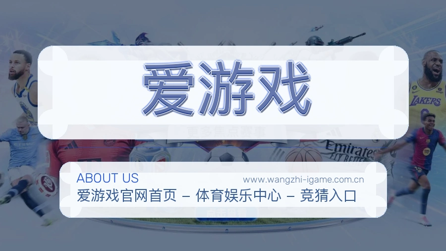 关于 爱游戏